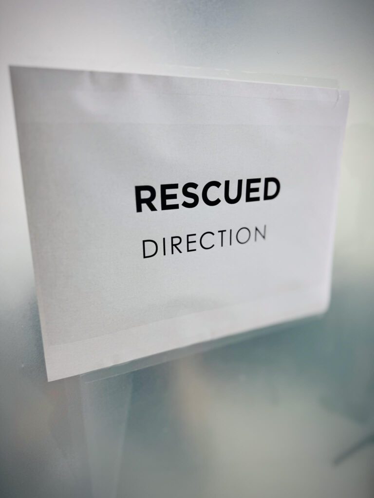 Rescued Movie behind the scenes - signage